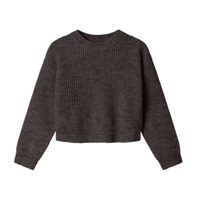 NAME IT Mädchen Nkfholly Ls Boxy Short Knit Noos, Seal Brown, 116 NAME IT Mädchen Nkfholly Ls Boxy Short Knit Noos, Seal Brown, 116