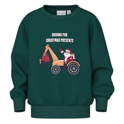 NAME IT Jungen Nmmvismas Ls Nreg Sweat Bru, Botanical Garden, 110 NAME IT Jungen Nmmvismas Ls Nreg Sweat Bru, Botanical Garden, 110