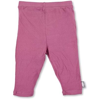 Sterntaler Badehose Beere Mädchen aus Bademodenstoff mit Elasthan Baby Badehose mit UV -Schutz und Windeleinsatz bis Größe 86/92 Mit praktischer Kordel zur Weitenregulierung Purpur, 86 Sterntaler Badehose Beere Mädchen aus Bademodenstoff mit Elasthan Baby Badehose mit UV -Schutz und Windeleinsatz bis Größe 86/92 Mit praktischer Kordel zur Weitenregulierung Purpur, 86