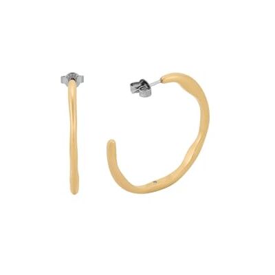 Skagen Women's Stainless Steel Push Back Earrings Mattes Gold,3.5Lx3.43Wxcm Skagen Women's Stainless Steel Push Back Earrings Mattes Gold,3.5Lx3.43Wxcm