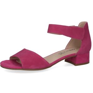 CAPRICE Damen Sandalen mit Absatz aus Leder mit Riemchen, Lila (Fuchsia Suede), 37,5 EU CAPRICE Damen Sandalen mit Absatz aus Leder mit Riemchen, Lila (Fuchsia Suede), 37,5 EU