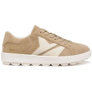 Geox Damen D SPHERICA ECUB-1 B Sneaker, Cream/Papyrus, 41 EU Geox Damen D SPHERICA ECUB-1 B Sneaker, Cream/Papyrus, 41 EU