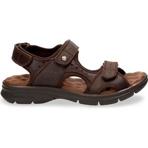 Panama Jack Herren Salton Flat Sandal, Marron C35, 42 EU Panama Jack Herren Salton Flat Sandal, Marron C35, 42 EU