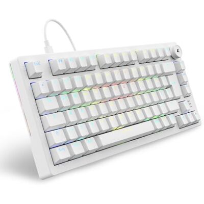 Sharkoon Skiller SGK25 RGB, Gaming Tastatur, 75% Layout, Hot Swap, Huano RED geschmierte Schalter, weiß Sharkoon Skiller SGK25 RGB, Gaming Tastatur, 75% Layout, Hot Swap, Huano RED geschmierte Schalter, weiß