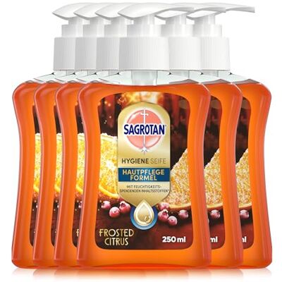 Sagrotan Handseife Winter Limited Edition Frosted Citrus – Feuchtigkeitsspendend – 6 x 250 ml Sagrotan Handseife Winter Limited Edition Frosted Citrus – Feuchtigkeitsspendend – 6 x 250 ml