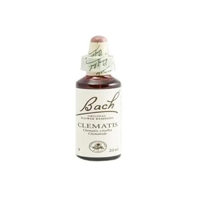 Bach FLORES DE CLEMATIS 20 ml Glasflasche mit Tropfer, 20 ml Bach FLORES DE CLEMATIS 20 ml Glasflasche mit Tropfer, 20 ml