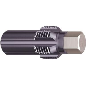 Hazet Gewinde-Nachschneider 4683-22, 13 mm Außen-Sechskant,M22 x 1,5, für Partikelsensoren an Audi, VW, Porsche, Mercedes-Benz, BMW, TiAIN-Beschichtung Hazet Gewinde-Nachschneider 4683-22, 13 mm Außen-Sechskant,M22 x 1,5, für Partikelsensoren an Audi, VW, Porsche, Mercedes-Benz, BMW, TiAIN-Beschichtung