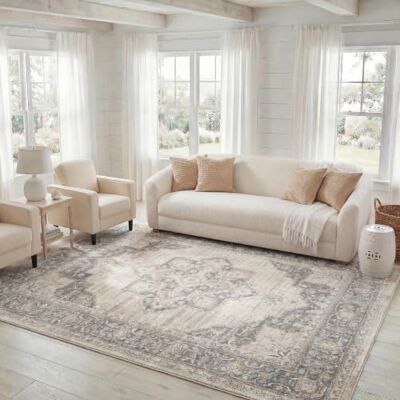 Safavieh Traditionell Teppich für Wohnzimmer, Esszimmer, Schlafzimmer Brentwood Collection, Kurzer Flor, Creme und Grau, 240 X 300 cm Safavieh Traditionell Teppich für Wohnzimmer, Esszimmer, Schlafzimmer Brentwood Collection, Kurzer Flor, Creme und Grau, 240 X 300 cm