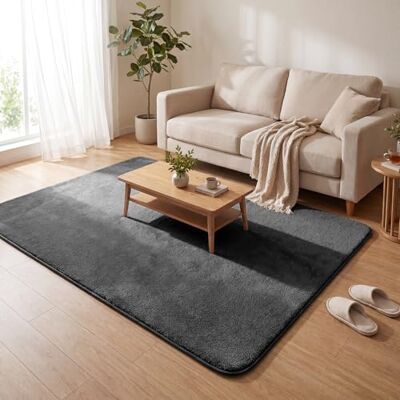 VOUNOT ® Teppich Wohnzimmer 140x200 cm, mit rutschfeste Rückseite & Antirutschmatte, Kuscheliger Kurzflor Flauschig Teppiche Gegend für Schlafzimmer Kinderzimmer Esszimmer, Anthrazit VOUNOT ® Teppich Wohnzimmer 140x200 cm, mit rutschfeste Rückseite & Antirutschmatte, Kuscheliger Kurzflor Flauschig Teppiche Gegend für Schlafzimmer Kinderzimmer Esszimmer, Anthrazit