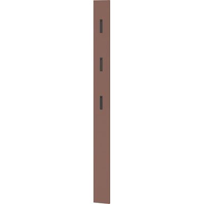 GERMANIA DIE MÖBELMACHER Germania Garderobenpaneel 3728-671 GW-Ameca, in Toffee, mit drei ausklappbaren Kleiderhaken aus Metall, 15 x 170 x 3 cm (BxHxT) GERMANIA DIE MÖBELMACHER Germania Garderobenpaneel 3728-671 GW-Ameca, in Toffee, mit drei ausklappbaren Kleiderhaken aus Metall, 15 x 170 x 3 cm (BxHxT)