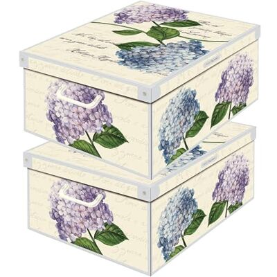 Lavatelli Set aus 2 Aufbewahrungsboxen mit Deckel – Große Kleiderboxen aus Karton 40x50x25 cm – Robust, leicht zu montieren, mit Tragegriffen – Perfekt für Kleiderschrank & Saisonwechsel Hortensien Lavatelli Set aus 2 Aufbewahrungsboxen mit Deckel – Große Kleiderboxen aus Karton 40x50x25 cm – Robust, leicht zu montieren, mit Tragegriffen – Perfekt für Kleiderschrank & Saisonwechsel Hortensien
