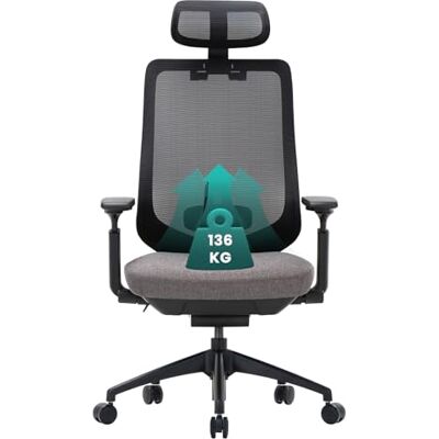 COLAMY XK01 Atlas Ergonomischer Netz-Bürostuhl, Chefsessel mit hoher Rückenlehne, Verstellbarer Kopfstütze und 4D-Armen, Schiebesitz, Kippsperre, Nylon-Basis, Dunkelgrau COLAMY XK01 Atlas Ergonomischer Netz-Bürostuhl, Chefsessel mit hoher Rückenlehne, Verstellbarer Kopfstütze und 4D-Armen, Schiebesitz, Kippsperre, Nylon-Basis, Dunkelgrau