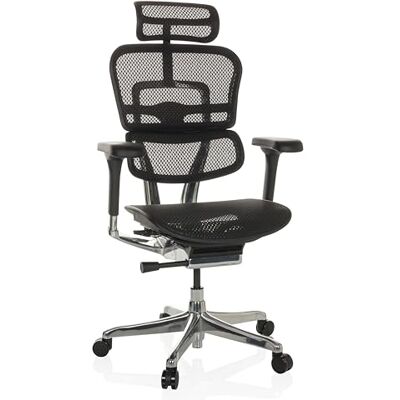 hjh OFFICE Bürostuhl ergonomisch ERGOHUMAN GEN2 Originales Design, 24h Einsatz Bürosessel mit Flexibler Lordosenstütze, Netz Schwarz hjh OFFICE Bürostuhl ergonomisch ERGOHUMAN GEN2 Originales Design, 24h Einsatz Bürosessel mit Flexibler Lordosenstütze, Netz Schwarz