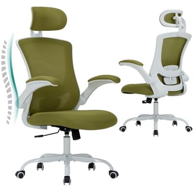 COLAMY Bürostuhl Ergonomisch, Netz-Schreibtischstuhl mit Verstellbarer Kopfstütze, Chefsessel Office Chair mit Lendenwirbelstütze, Verstellbarer Neigungsverschluss Drehstuhl, Grün COLAMY Bürostuhl Ergonomisch, Netz-Schreibtischstuhl mit Verstellbarer Kopfstütze, Chefsessel Office Chair mit Lendenwirbelstütze, Verstellbarer Neigungsverschluss Drehstuhl, Grün