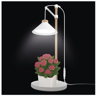 EMOS LED-Grow-Lampe für Zimmerpflanzen und Kräuter Wachstumslampe mit Naturholz und Timer, höhenverstellbar Helligkeit 450lm hoher Farbwiedergabeindex Ra>95, inkl. Netzteil Weiß/Naturholz EMOS LED-Grow-Lampe für Zimmerpflanzen und Kräuter Wachstumslampe mit Naturholz und Timer, höhenverstellbar Helligkeit 450lm hoher Farbwiedergabeindex Ra>95, inkl. Netzteil Weiß/Naturholz