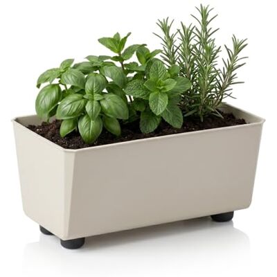 Lamela Rechteckiger Pflanzkasten mit eleganten Füßen – Beigefarbener Blumenkübel aus robustem Kunststoff 28,5 x 17 cm, 4,2L – Wetterfest & Pflegeleicht für Innen & Außen, Beige Lamela Rechteckiger Pflanzkasten mit eleganten Füßen – Beigefarbener Blumenkübel aus robustem Kunststoff 28,5 x 17 cm, 4,2L – Wetterfest & Pflegeleicht für Innen & Außen, Beige