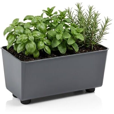Lamela Rechteckiger Pflanzkasten mit eleganten Füßen – Antrazit Blumenkübel aus robustem Kunststoff 28,5 x 17 cm, 4,2L – Wetterfest & Pflegeleicht für Innen & Außen, Anti-meise Lamela Rechteckiger Pflanzkasten mit eleganten Füßen – Antrazit Blumenkübel aus robustem Kunststoff 28,5 x 17 cm, 4,2L – Wetterfest & Pflegeleicht für Innen & Außen, Anti-meise