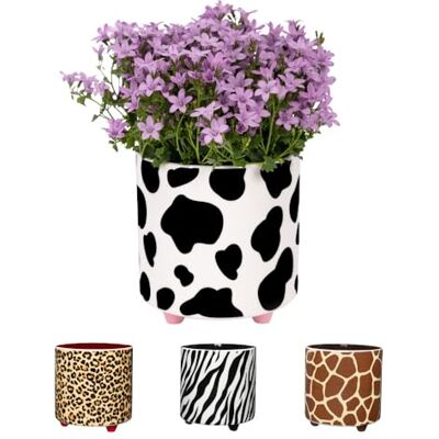 FISURA – Origineller Blumentopf mit Kuhmuster. Dekorativer Keramiktopf auf Beinen für Sukkulenten, Kakteen oder Blumen. Lustige Tierdeko für Wohnzimmer, Küche oder Büro, 13 x 12,5 cm. FISURA – Origineller Blumentopf mit Kuhmuster. Dekorativer Keramiktopf auf Beinen für Sukkulenten, Kakteen oder Blumen. Lustige Tierdeko für Wohnzimmer, Küche oder Büro, 13 x 12,5 cm.