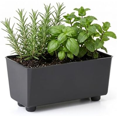 Lamela Rechteckiger Pflanzkasten mit eleganten Füßen – Schwarzer Blumenkübel aus robustem Kunststoff 28,5 x 17 cm, 4,2L – Wetterfest & Pflegeleicht für Innen & Außen, Schwarz Lamela Rechteckiger Pflanzkasten mit eleganten Füßen – Schwarzer Blumenkübel aus robustem Kunststoff 28,5 x 17 cm, 4,2L – Wetterfest & Pflegeleicht für Innen & Außen, Schwarz