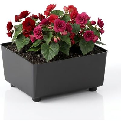 Lamela Quadratischer Pflanzkasten mit eleganten Füßen – Schwarzer Blumenkübel aus robustem Kunststoff 28,5 x 28,5 cm, 7,5L – Wetterfest & Pflegeleicht für Innen & Außen, Schwarz Lamela Quadratischer Pflanzkasten mit eleganten Füßen – Schwarzer Blumenkübel aus robustem Kunststoff 28,5 x 28,5 cm, 7,5L – Wetterfest & Pflegeleicht für Innen & Außen, Schwarz