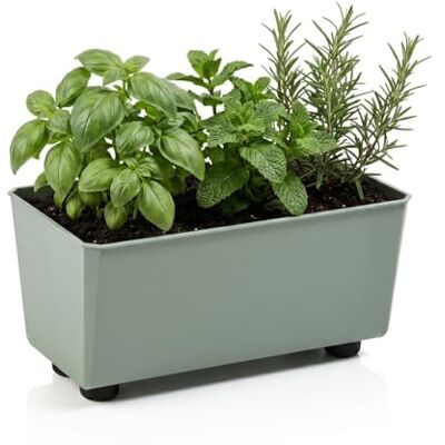 Lamela Rechteckiger Pflanzkasten mit eleganten Füßen – Grüner Blumenkübel aus robustem Kunststoff 28,5 x 17 cm, 4,2L – Wetterfest & Pflegeleicht für Innen & Außen, Graugrün Lamela Rechteckiger Pflanzkasten mit eleganten Füßen – Grüner Blumenkübel aus robustem Kunststoff 28,5 x 17 cm, 4,2L – Wetterfest & Pflegeleicht für Innen & Außen, Graugrün