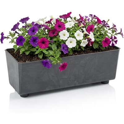 Lamela Rechteckiger Pflanzkasten mit eleganten Füßen – Schwarzer Blumenkübel in Betonoptik aus robustem Kunststoff 37x17 cm, 6L – Wetterfest & Pflegeleicht für Innen & Außen Lamela Rechteckiger Pflanzkasten mit eleganten Füßen – Schwarzer Blumenkübel in Betonoptik aus robustem Kunststoff 37x17 cm, 6L – Wetterfest & Pflegeleicht für Innen & Außen