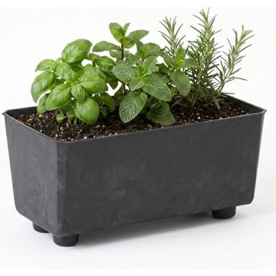 Lamela Rechteckiger Pflanzkasten mit eleganten Füßen – Schwarzer Blumenkübel in Betonoptik aus robustem Kunststoff 28,5 x 17 cm, 4,2L – Wetterfest & Pflegeleicht für Innen & Außen Lamela Rechteckiger Pflanzkasten mit eleganten Füßen – Schwarzer Blumenkübel in Betonoptik aus robustem Kunststoff 28,5 x 17 cm, 4,2L – Wetterfest & Pflegeleicht für Innen & Außen