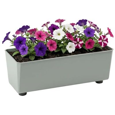 Lamela Rechteckiger Pflanzkasten mit eleganten Füßen – Grüner Blumenkübel aus robustem Kunststoff 37x17 cm, 6L – Wetterfest & Pflegeleicht für Innen & Außen, Graugrün Lamela Rechteckiger Pflanzkasten mit eleganten Füßen – Grüner Blumenkübel aus robustem Kunststoff 37x17 cm, 6L – Wetterfest & Pflegeleicht für Innen & Außen, Graugrün