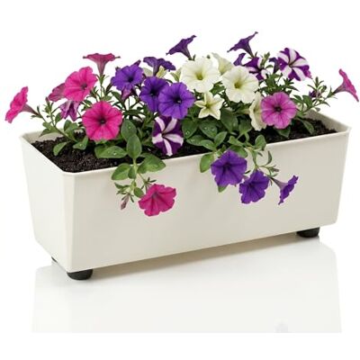 Lamela Rechteckiger Pflanzkasten mit eleganten Füßen – Cremefarbener Blumenkübel aus robustem Kunststoff 37x17 cm, 6L – Wetterfest & Pflegeleicht für Innen & Außen, Cremig Lamela Rechteckiger Pflanzkasten mit eleganten Füßen – Cremefarbener Blumenkübel aus robustem Kunststoff 37x17 cm, 6L – Wetterfest & Pflegeleicht für Innen & Außen, Cremig