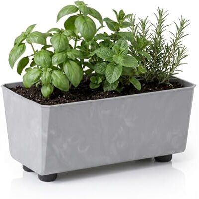 Lamela Rechteckiger Pflanzkasten mit eleganten Füßen – Grauer Blumenkübel in Betonoptik aus robustem Kunststoff 28,5 x 17 cm, 4,2L – Wetterfest & Pflegeleicht für Innen & Außen Lamela Rechteckiger Pflanzkasten mit eleganten Füßen – Grauer Blumenkübel in Betonoptik aus robustem Kunststoff 28,5 x 17 cm, 4,2L – Wetterfest & Pflegeleicht für Innen & Außen