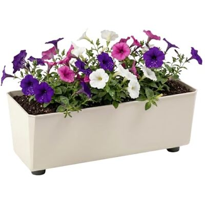 Lamela Rechteckiger Pflanzkasten mit eleganten Füßen – Beigefarbener Blumenkübel aus robustem Kunststoff 37x17 cm, 6L – Wetterfest & Pflegeleicht für Innen & Außen, Beige Lamela Rechteckiger Pflanzkasten mit eleganten Füßen – Beigefarbener Blumenkübel aus robustem Kunststoff 37x17 cm, 6L – Wetterfest & Pflegeleicht für Innen & Außen, Beige