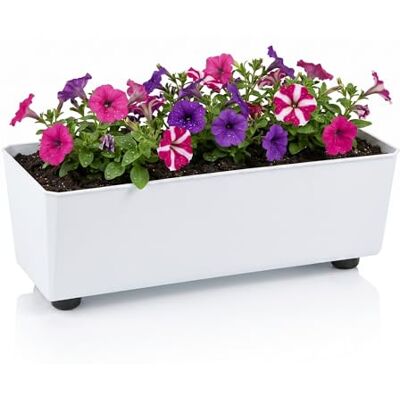 Lamela Rechteckiger Pflanzkasten mit eleganten Füßen – Weißer Blumenkübel aus robustem Kunststoff 37x17 cm, 6L – Wetterfest & Pflegeleicht für Innen & Außen, Weiß Lamela Rechteckiger Pflanzkasten mit eleganten Füßen – Weißer Blumenkübel aus robustem Kunststoff 37x17 cm, 6L – Wetterfest & Pflegeleicht für Innen & Außen, Weiß