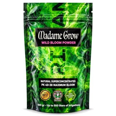 MADAME GROW Blühpulverdünger PK 40-38 Größere Blüte Stimulator für Blüten und Knospen Knospe WILD BLOOM POWDER (100 gr) MADAME GROW Blühpulverdünger PK 40-38 Größere Blüte Stimulator für Blüten und Knospen Knospe WILD BLOOM POWDER (100 gr)