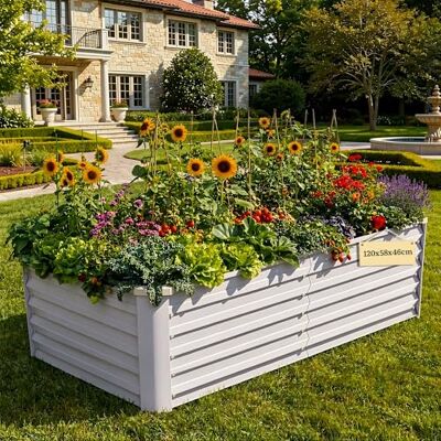 DWVO Hochbeete für Garten,verzinkte Stahlplatte Metall Hochbeet, Pflanzgefäße für den Außenbereich mit Sicherheitskante für Garten Stützstange und Handschuhen(Silber 120 * 58 * 46cm) DWVO Hochbeete für Garten,verzinkte Stahlplatte Metall Hochbeet, Pflanzgefäße für den Außenbereich mit Sicherheitskante für Garten Stützstange und Handschuhen(Silber 120 * 58 * 46cm)