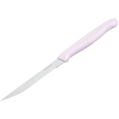 FACKELMANN x Pamela Reif Universalmesser – Ergonomischer Griff in Pastellrosa, Extra Scharfer Schliff, 18,5 cm Klingenlänge, rostfrei, Pastell Rosa FACKELMANN x Pamela Reif Universalmesser – Ergonomischer Griff in Pastellrosa, Extra Scharfer Schliff, 18,5 cm Klingenlänge, rostfrei, Pastell Rosa