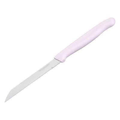 FACKELMANN x Pamela Reif Gemüsemesser – Ergonomischer Griff in Pastellrosa, 12 cm gezahnte Klinge, rostfrei, Pastell Rosa FACKELMANN x Pamela Reif Gemüsemesser – Ergonomischer Griff in Pastellrosa, 12 cm gezahnte Klinge, rostfrei, Pastell Rosa
