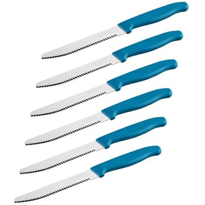 Nirosta Elemental Frühstücksmesser – Made in Germany – Scharfer Wellenschliff für Brötchen und Brezeln – Nachhaltiger Griff – 4 Jahre Garantie 6er-Set, Blau/Silber Nirosta Elemental Frühstücksmesser – Made in Germany – Scharfer Wellenschliff für Brötchen und Brezeln – Nachhaltiger Griff – 4 Jahre Garantie 6er-Set, Blau/Silber