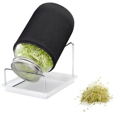 Westmark Sprossenglas Set, 1 STK. – Sprossen Anzuchtset mit Edelstahl-Siebdeckel & Abtropfgestell – Für Sprossen Samen, Microgreens & mehr – 2000 ml Westmark Sprossenglas Set, 1 STK. – Sprossen Anzuchtset mit Edelstahl-Siebdeckel & Abtropfgestell – Für Sprossen Samen, Microgreens & mehr – 2000 ml