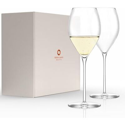 Stölzle Lausitz Champagner Glas Fino/Elegantes leichtes Champagner Gläser Set 2-teilig/Hochwertige Sektgläser aus Kristallglas/Aperitif/Prosecco Gläser/Sektflöten Glas Stölzle Lausitz Champagner Glas Fino/Elegantes leichtes Champagner Gläser Set 2-teilig/Hochwertige Sektgläser aus Kristallglas/Aperitif/Prosecco Gläser/Sektflöten Glas