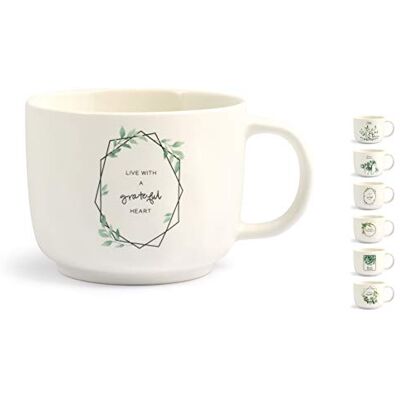 H&H 42719 Botanic Set 6 Jumbo, New Bone China, CC350, verschiedene Dekorationen H&H 42719 Botanic Set 6 Jumbo, New Bone China, CC350, verschiedene Dekorationen