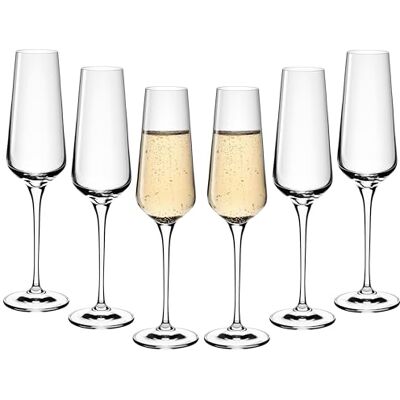 Gerlach 1760 Sektgläser 6 Stück 200 ml Champagnergläser Sektkelche Glas Sektglas Weingläser Spülmaschinenfest Modern Gerlach 1760 Sektgläser 6 Stück 200 ml Champagnergläser Sektkelche Glas Sektglas Weingläser Spülmaschinenfest Modern