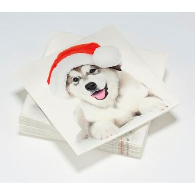 Le Nappage 20 Servietten Husky Weihnachten Watte 3-lagig – 33 x 33 cm Le Nappage 20 Servietten Husky Weihnachten Watte 3-lagig – 33 x 33 cm
