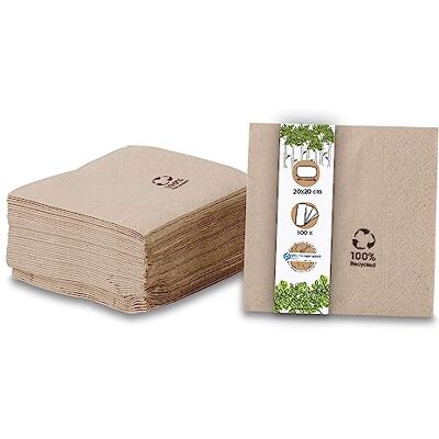 GREENBOX Umweltfreundliche Bio Servietten aus Recyclingpapier I Hochwertige Papierservietten 10 x 10 cm I 100 Stück Cocktailservietten ungebleicht, biologisch abbaubar, kompostierbar GREENBOX Umweltfreundliche Bio Servietten aus Recyclingpapier I Hochwertige Papierservietten 10 x 10 cm I 100 Stück Cocktailservietten ungebleicht, biologisch abbaubar, kompostierbar