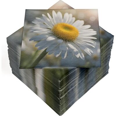 Heku 100 Servietten, 3-lagig, 33x33cm, Margeriten I Saugstark und praktisch verpackt I Breite Auswahl I Ideal für besondere Anlässe Heku 100 Servietten, 3-lagig, 33x33cm, Margeriten I Saugstark und praktisch verpackt I Breite Auswahl I Ideal für besondere Anlässe