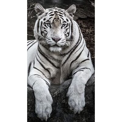 Miracle Home . Microfiber Beach Towel Tigre, 100% Poliéster, 75 X 145 cm. 15084 Miracle Home . Microfiber Beach Towel Tigre, 100% Poliéster, 75 X 145 cm. 15084