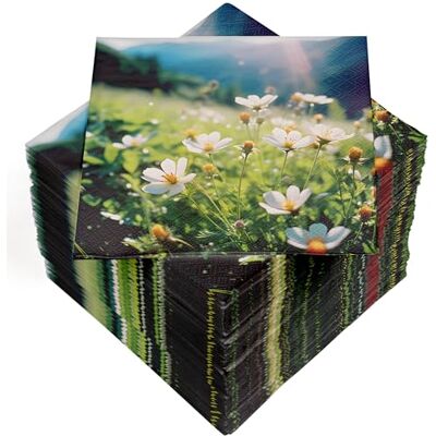 Heku 100 Servietten, 3-lagig, 33x33cm, Bergwiese I Saugstark und praktisch verpackt I Breite Auswahl I Ideal für besondere Anlässe Heku 100 Servietten, 3-lagig, 33x33cm, Bergwiese I Saugstark und praktisch verpackt I Breite Auswahl I Ideal für besondere Anlässe