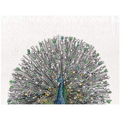 Maxwell & Williams Marini Ferlazzo Birds Bedrucktes Geschirrtuch mit Gang Gang Cockatoo Design, 100% Baumwolle, Schwarz/Weiß, 50 x 70 cm, Waschmaschinenfähig Maxwell & Williams Marini Ferlazzo Birds Bedrucktes Geschirrtuch mit Gang Gang Cockatoo Design, 100% Baumwolle, Schwarz/Weiß, 50 x 70 cm, Waschmaschinenfähig