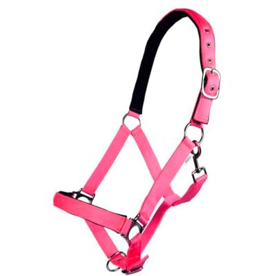 HKM 27858045.0226 Halfter -Stars Softice-, weich unterlegt Kaltblut, Neon pink HKM 27858045.0226 Halfter -Stars Softice-, weich unterlegt Kaltblut, Neon pink
