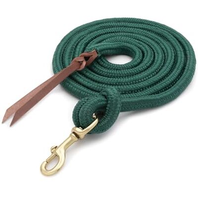 Weaver Equine Weaver Leather Rough Out geöltes Brustkragen, Unisex-Erwachsene, Poly Cowboy Lead with Snap, 5/8" x 10' Weaver Equine Weaver Leather Rough Out geöltes Brustkragen, Unisex-Erwachsene, Poly Cowboy Lead with Snap, 5/8" x 10'