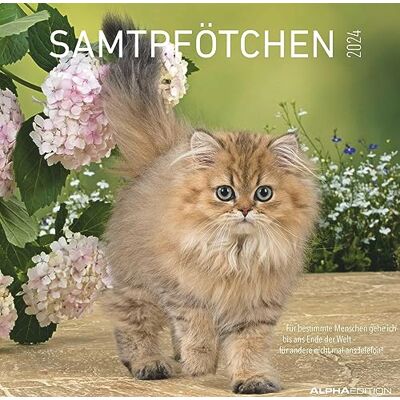 Alpha Samtpfötchen Broschürenkalender 2024, im Format 30 x 30 cm (30 x 60 geöffnet), Monatskalender mit Platz für Notizen, Tierkalender für Katzenfreunde Alpha Samtpfötchen Broschürenkalender 2024, im Format 30 x 30 cm (30 x 60 geöffnet), Monatskalender mit Platz für Notizen, Tierkalender für Katzenfreunde